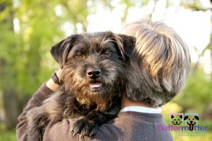 pet-photographer-dayton-dog-on-shoulder.jpg